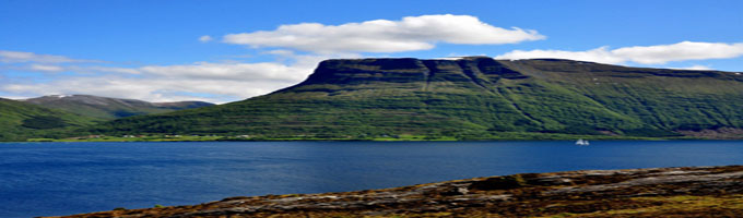 X���߲����ר�öƲ��׼Ƭ